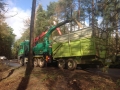 Woodchippings-and-biomass-2lg