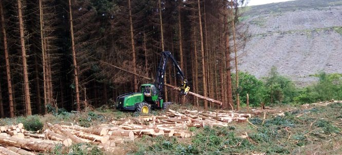 Biomass Supplies Yorkshire